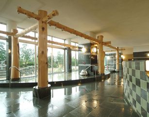 『スパ＆ホテル 舞浜ユーラシア 』入浴料+ナチュラルミネラルウォーター・ユーラシアオリジナル温泉の素プレゼント！